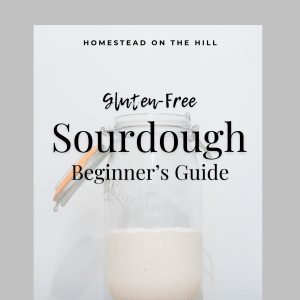 Gluten-Free Sourdough Beginner's Guide Ebook