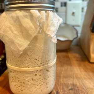 Dried Gluten-Free Sourdough Starter