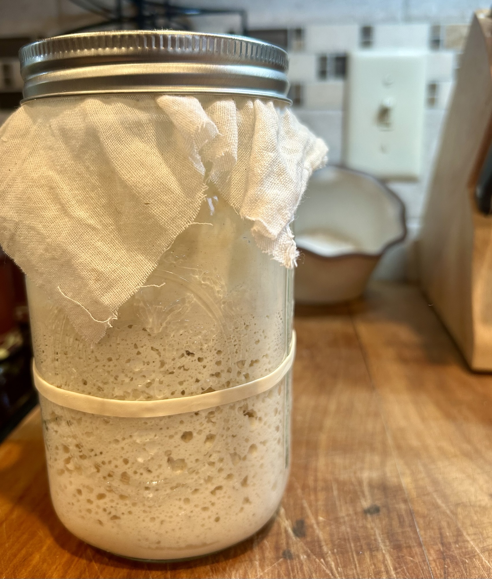 Step-by-Step Guide to Gluten-Free Sourdough Starter Success