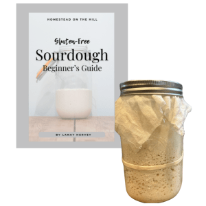 Gluten-Free Sourdough Beginner's Guide EBook + FREE GIFT