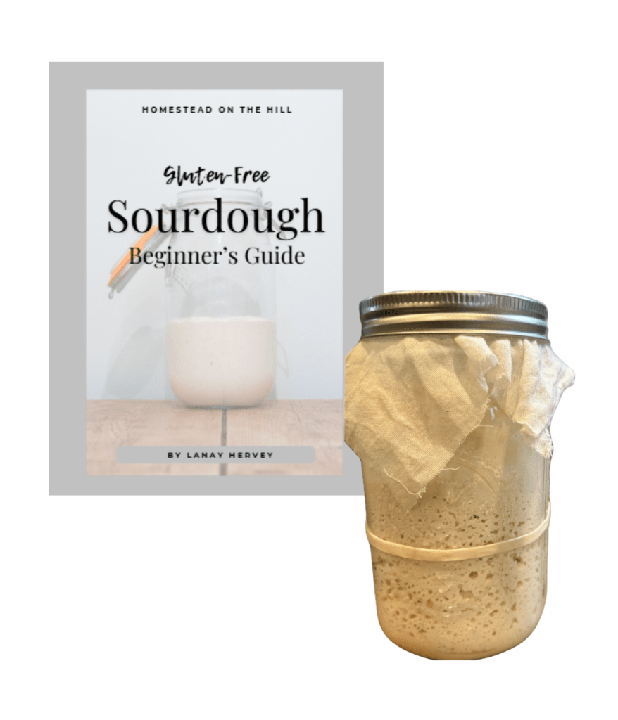 Gluten-Free Sourdough Beginner's Guide EBook + FREE GIFT