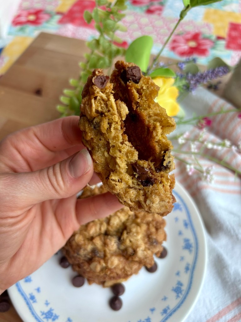 A close-up of a hand holding a half-eaten chocolate chip oatmeal cookie, revealing its soft and chewy interior, with additional cookies placed on a white plate in the background.