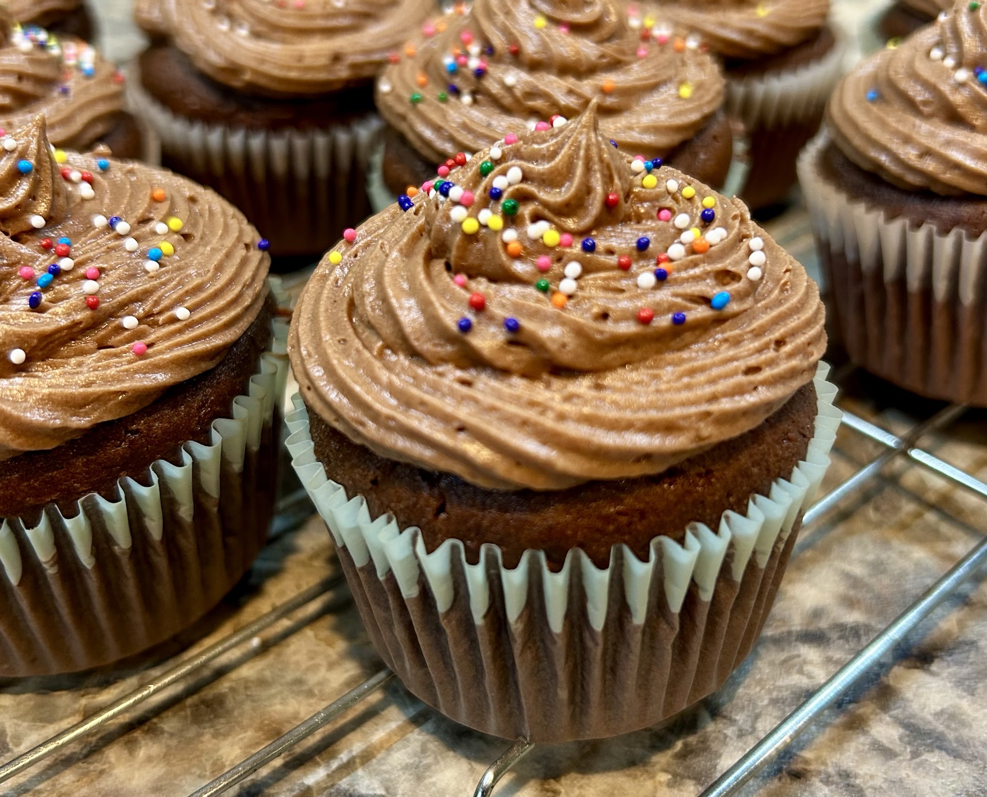 Decadent Gluten-Free Chocolate Cupcakes