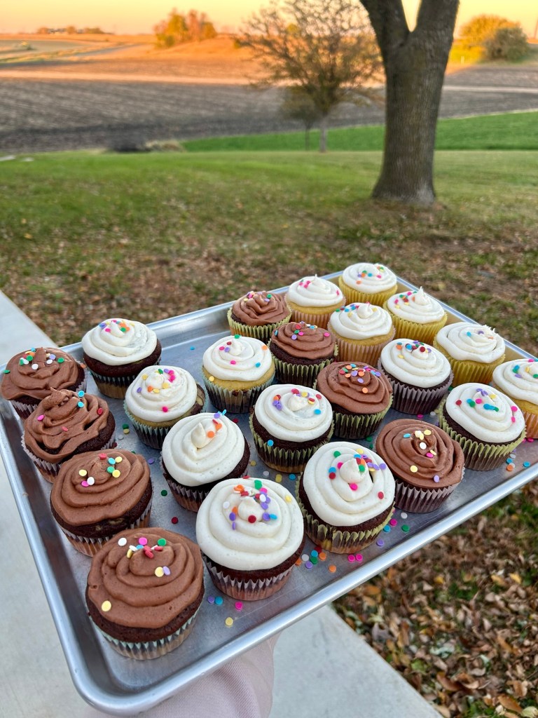 A tray of assorted cupcakes with chocolate and vanilla frosting, decorated with colorful sprinkles, set against a scenic outdoor background of fields and trees during sunset.